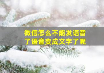 微信怎么不能发语音了语音变成文字了呢