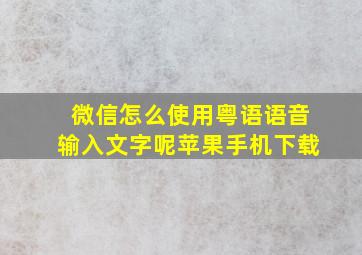 微信怎么使用粤语语音输入文字呢苹果手机下载