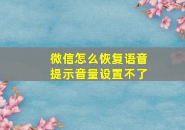 微信怎么恢复语音提示音量设置不了