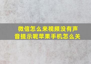 微信怎么来视频没有声音提示呢苹果手机怎么关