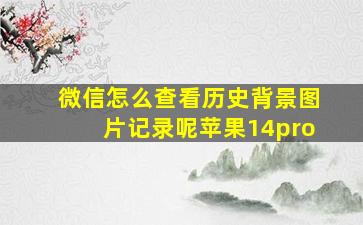 微信怎么查看历史背景图片记录呢苹果14pro