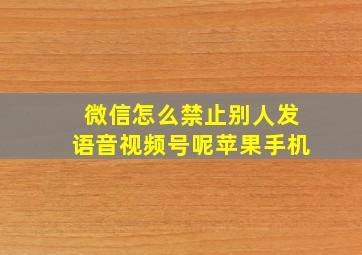 微信怎么禁止别人发语音视频号呢苹果手机