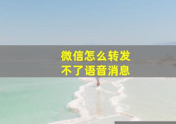 微信怎么转发不了语音消息