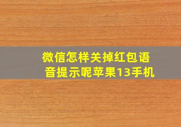 微信怎样关掉红包语音提示呢苹果13手机