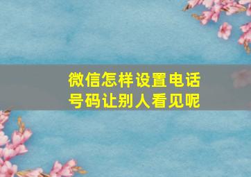 微信怎样设置电话号码让别人看见呢