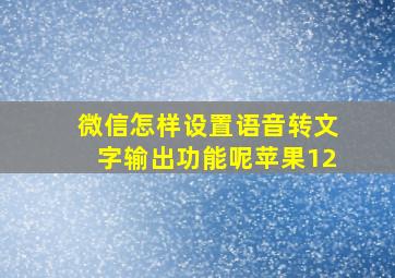 微信怎样设置语音转文字输出功能呢苹果12