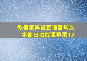 微信怎样设置语音转文字输出功能呢苹果13