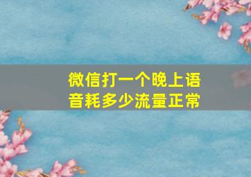 微信打一个晚上语音耗多少流量正常