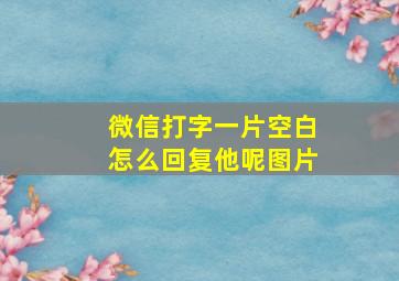 微信打字一片空白怎么回复他呢图片