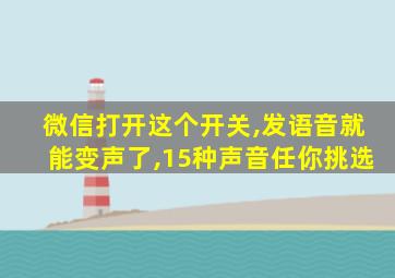 微信打开这个开关,发语音就能变声了,15种声音任你挑选