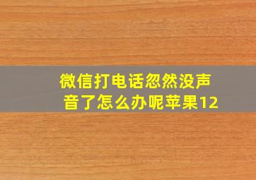 微信打电话忽然没声音了怎么办呢苹果12