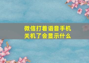 微信打着语音手机关机了会显示什么