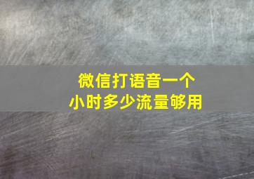 微信打语音一个小时多少流量够用