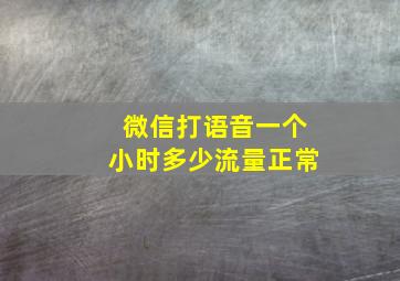 微信打语音一个小时多少流量正常