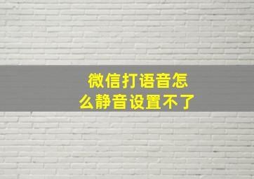 微信打语音怎么静音设置不了