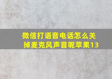 微信打语音电话怎么关掉麦克风声音呢苹果13