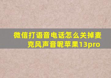 微信打语音电话怎么关掉麦克风声音呢苹果13pro