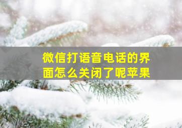 微信打语音电话的界面怎么关闭了呢苹果