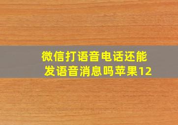 微信打语音电话还能发语音消息吗苹果12