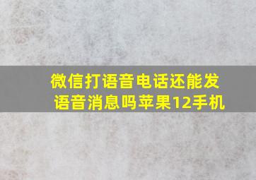 微信打语音电话还能发语音消息吗苹果12手机