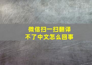 微信扫一扫翻译不了中文怎么回事