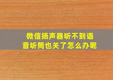 微信扬声器听不到语音听筒也关了怎么办呢