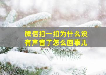 微信拍一拍为什么没有声音了怎么回事儿