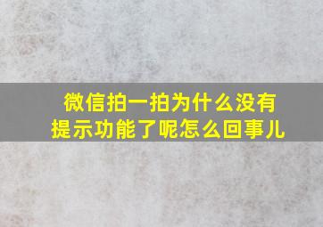 微信拍一拍为什么没有提示功能了呢怎么回事儿