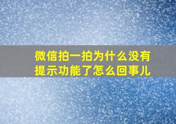 微信拍一拍为什么没有提示功能了怎么回事儿