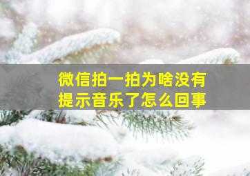 微信拍一拍为啥没有提示音乐了怎么回事