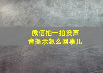 微信拍一拍没声音提示怎么回事儿