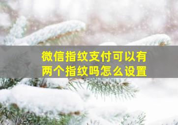 微信指纹支付可以有两个指纹吗怎么设置