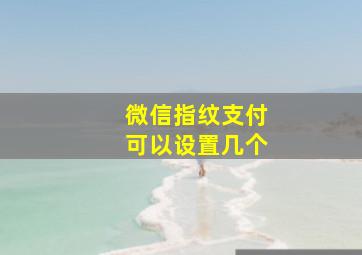 微信指纹支付可以设置几个