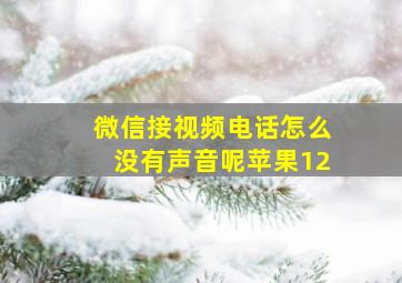 微信接视频电话怎么没有声音呢苹果12