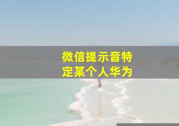 微信提示音特定某个人华为