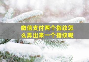 微信支付两个指纹怎么弄出来一个指纹呢