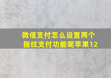 微信支付怎么设置两个指纹支付功能呢苹果12