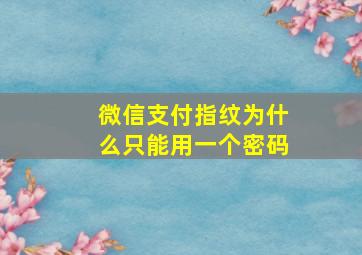 微信支付指纹为什么只能用一个密码