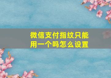 微信支付指纹只能用一个吗怎么设置