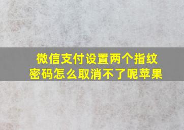 微信支付设置两个指纹密码怎么取消不了呢苹果