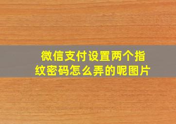 微信支付设置两个指纹密码怎么弄的呢图片