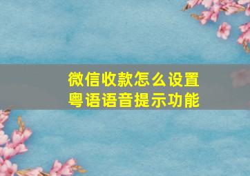 微信收款怎么设置粤语语音提示功能