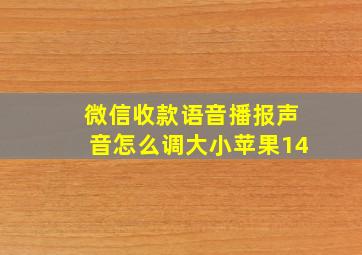 微信收款语音播报声音怎么调大小苹果14