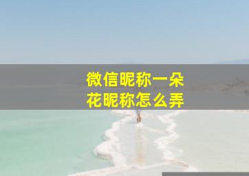 微信昵称一朵花昵称怎么弄