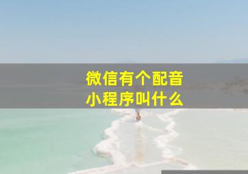 微信有个配音小程序叫什么