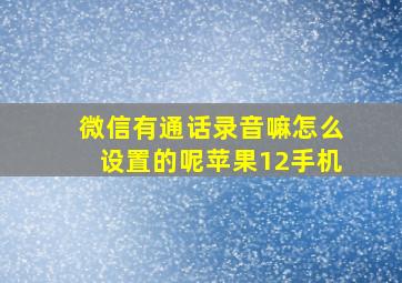 微信有通话录音嘛怎么设置的呢苹果12手机