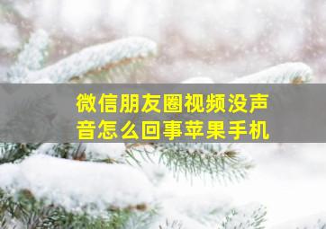 微信朋友圈视频没声音怎么回事苹果手机