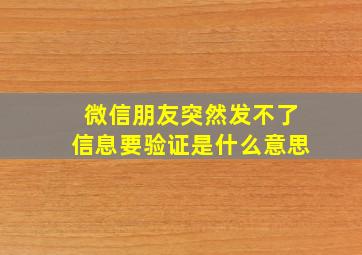 微信朋友突然发不了信息要验证是什么意思