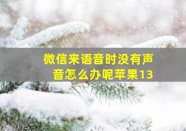 微信来语音时没有声音怎么办呢苹果13