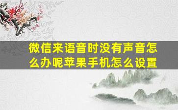 微信来语音时没有声音怎么办呢苹果手机怎么设置